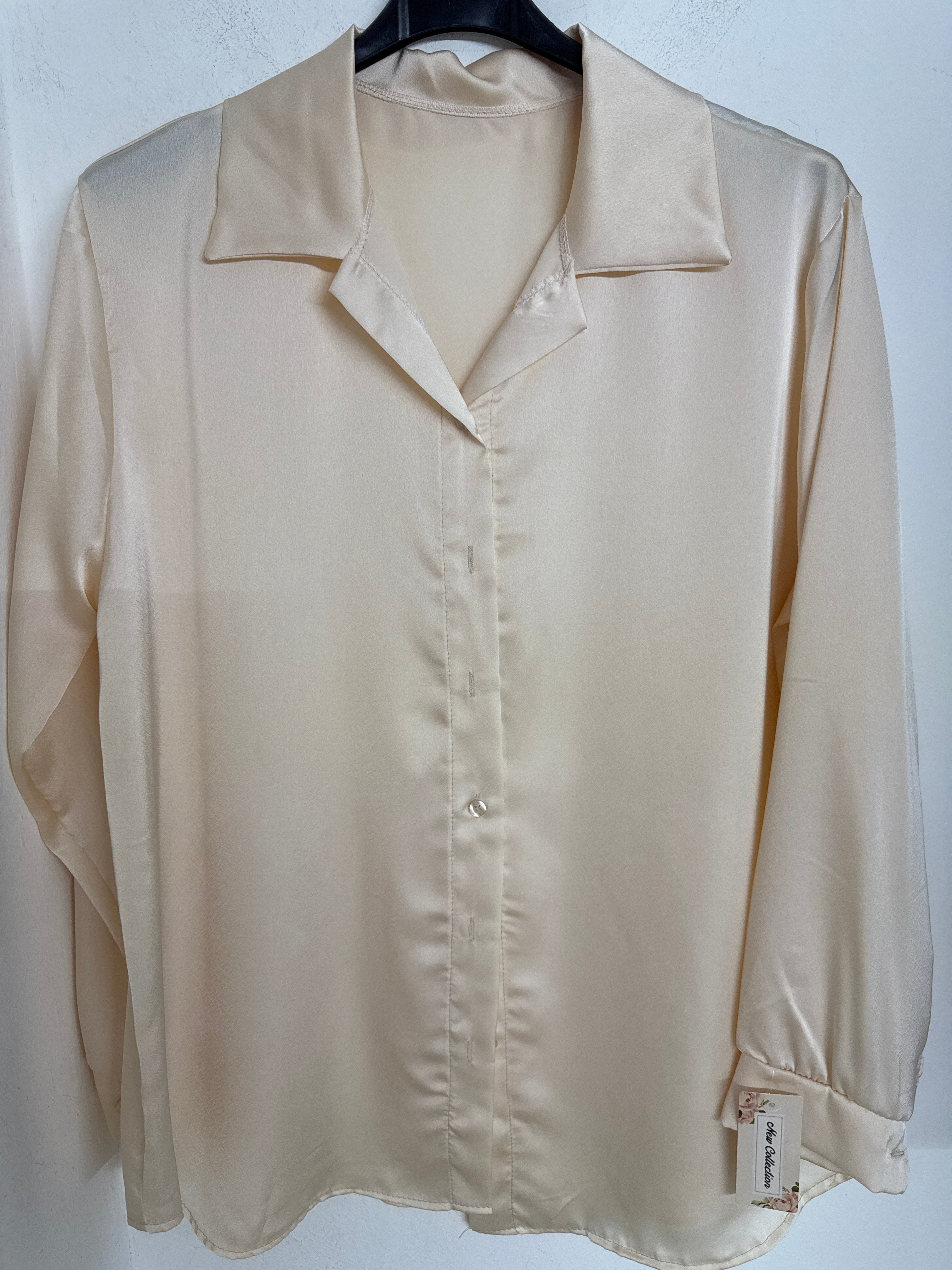 190111 camicia Basic Curvy