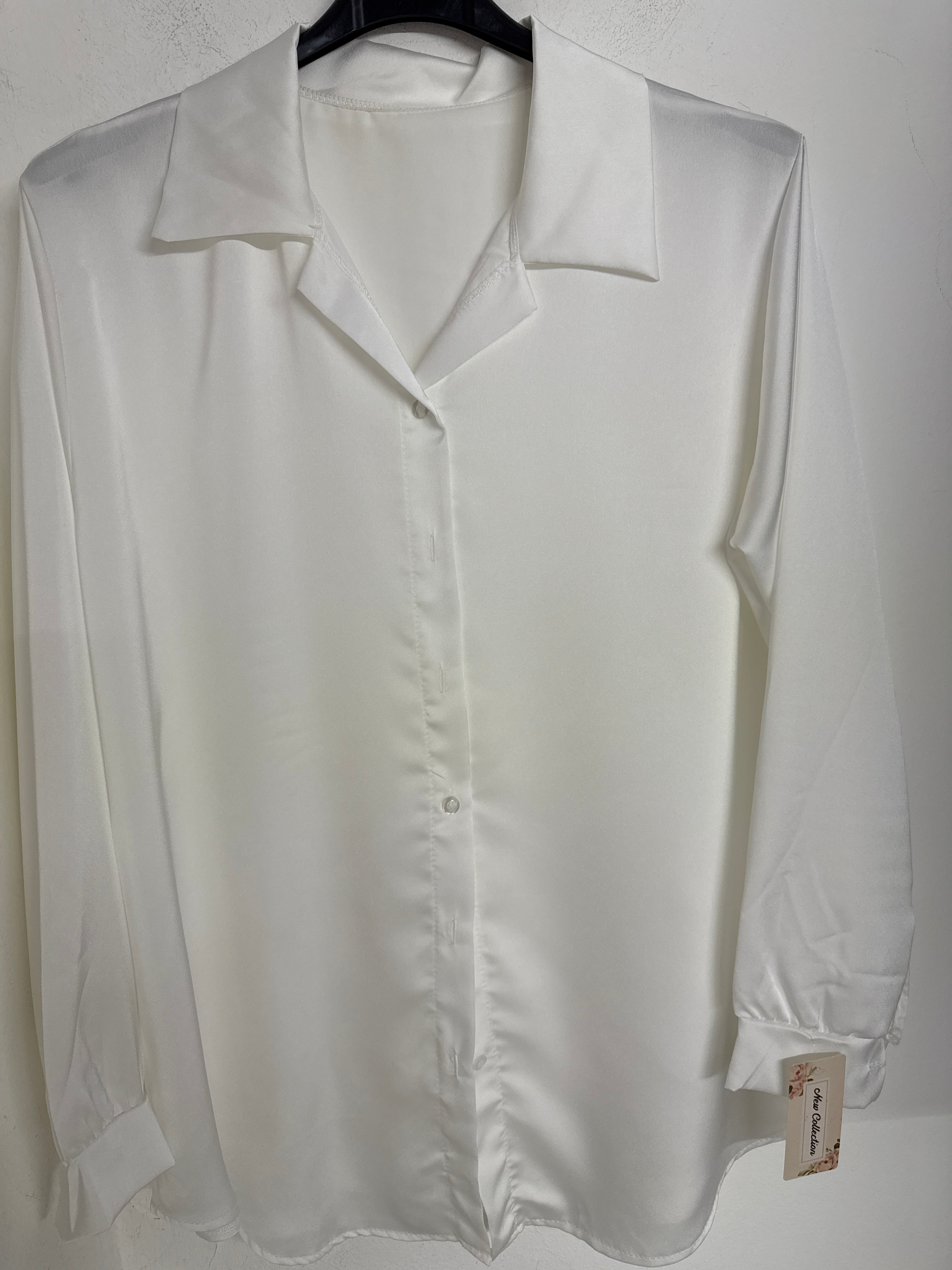 190111 camicia Basic Curvy